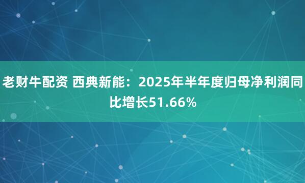 老财牛配资 西典新能：2025年半年度归母净利润同比增长51.66%